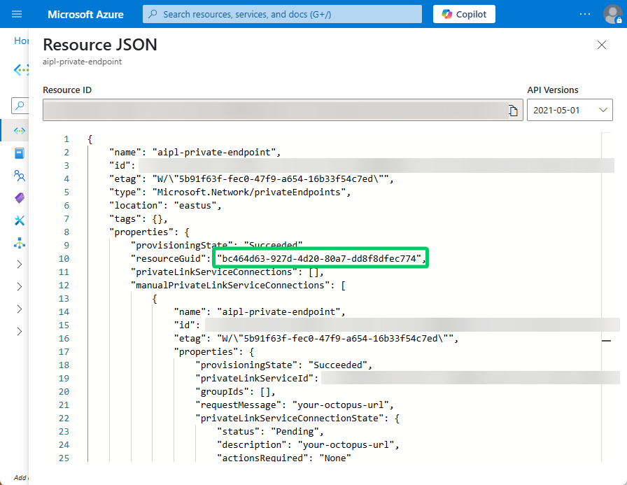 A screenshot of a Private Endpoint’s JSON View in the Azure Portal highlighting the ResourceGuid field